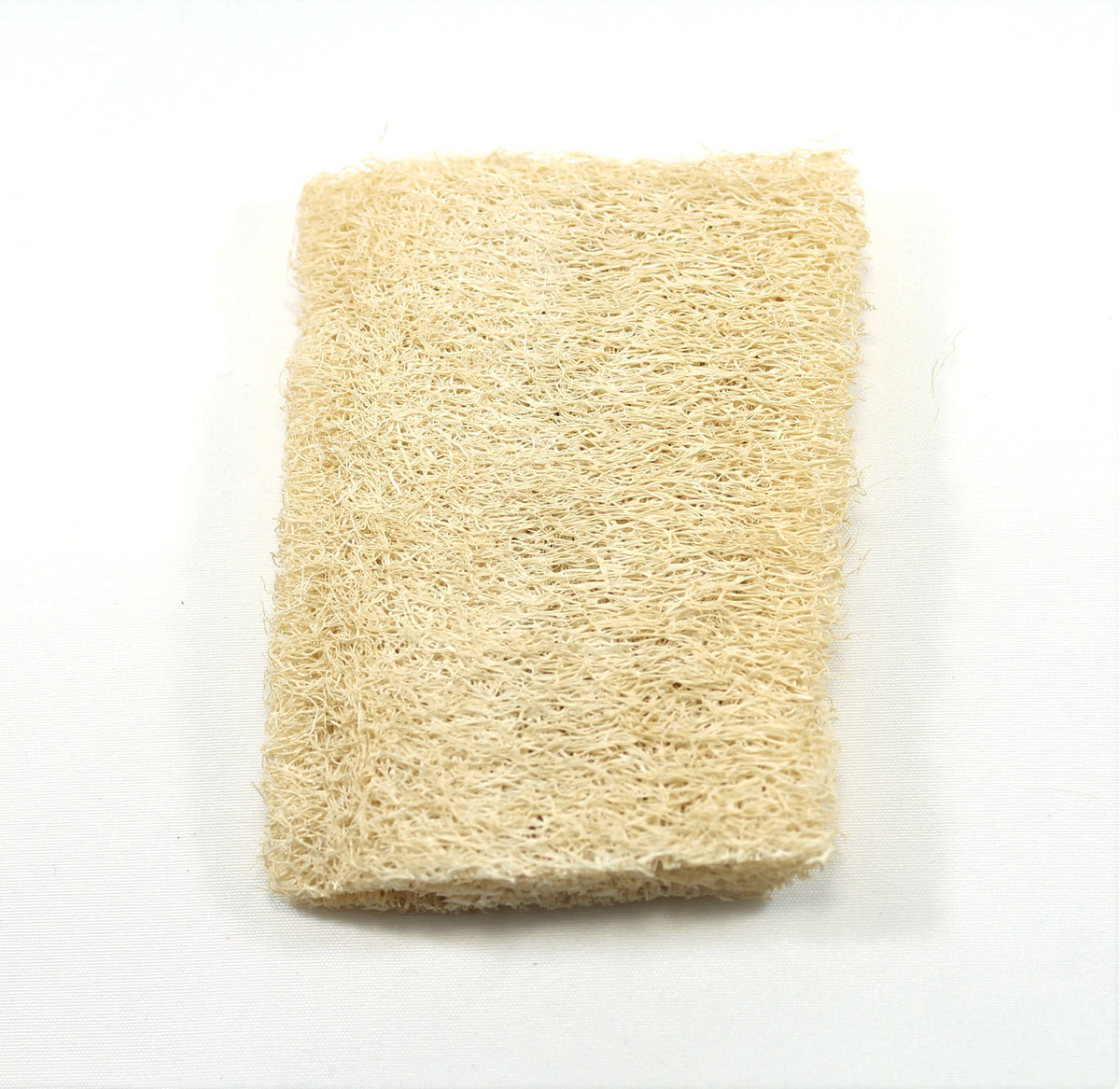 http://earthstewardstore.com/cdn/shop/products/Loofah4_1200x1200.jpg?v=1694365977